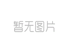 博洛尼亞 對 卡利亞里